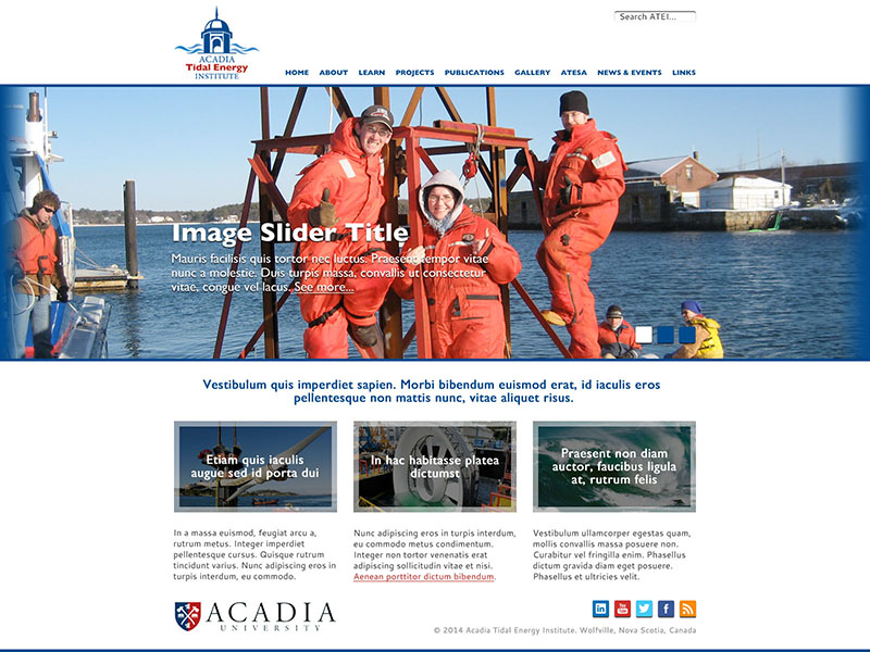 ATEI Website Landing Page