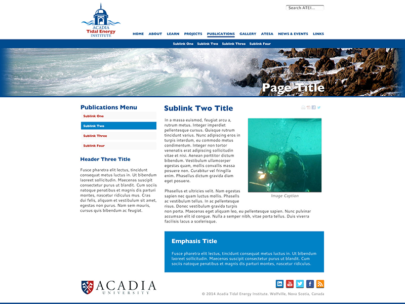 ATEI Website Subpage