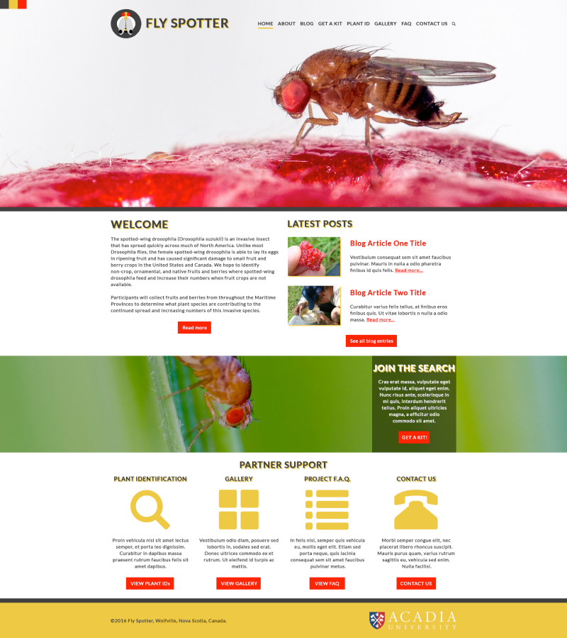 Fly Spotter Landing Page